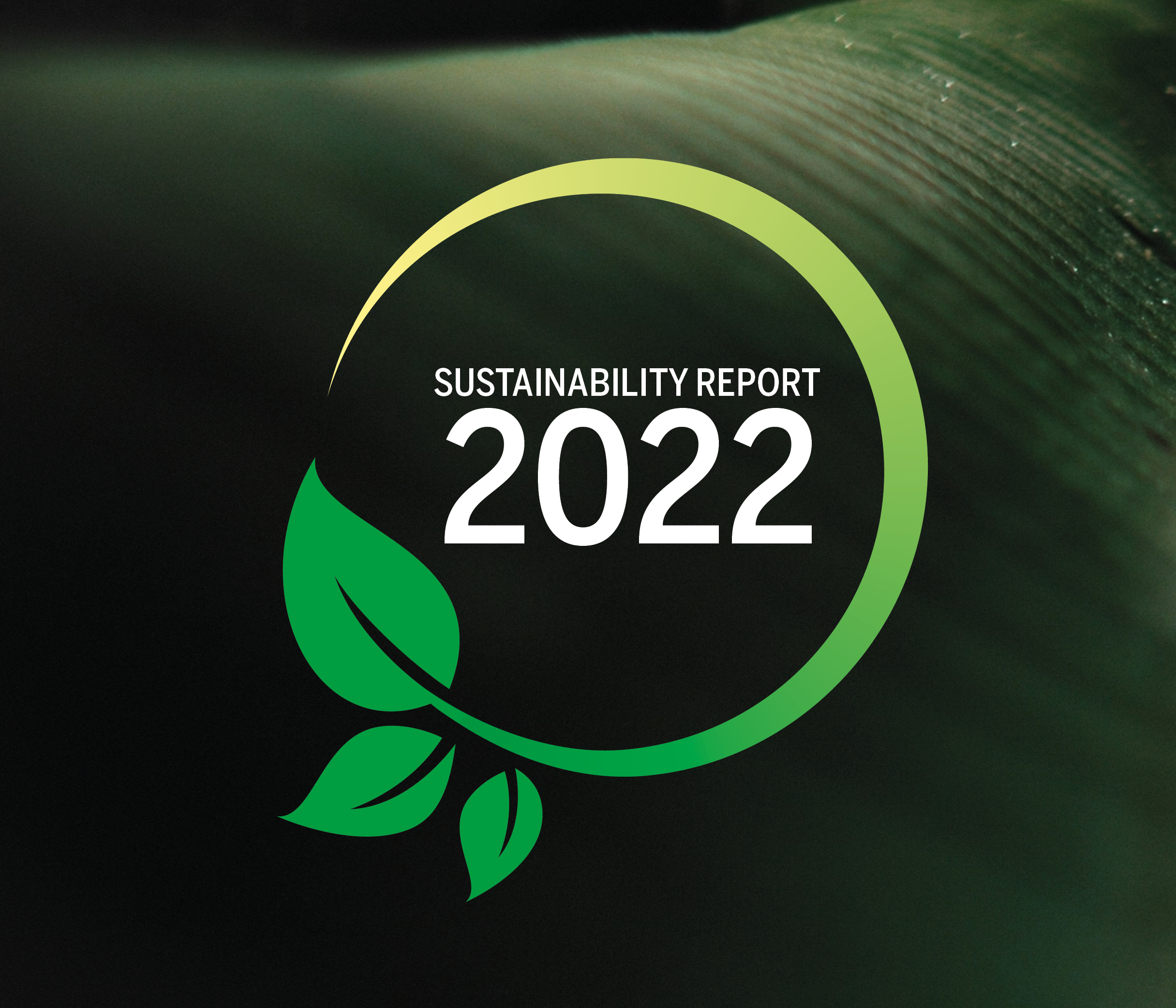 Vastuullisuusraporttimme vuodelle 2022